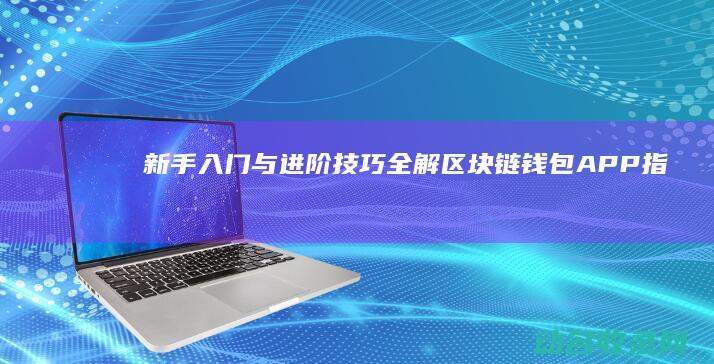 新手入门与进阶技巧全解 区块链钱包APP指南 (新手入门进阶下一句是什么)