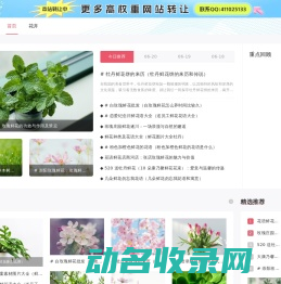 花缘鲜花网